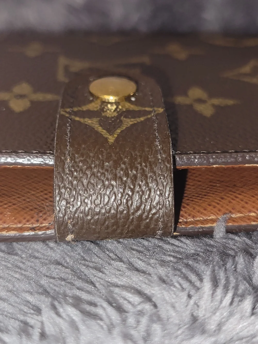 Louis Vuitton classic louis